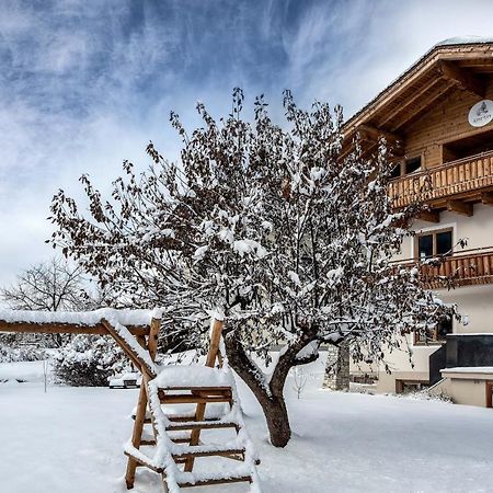 Alpine View Apartments Niedernsill Extérieur photo