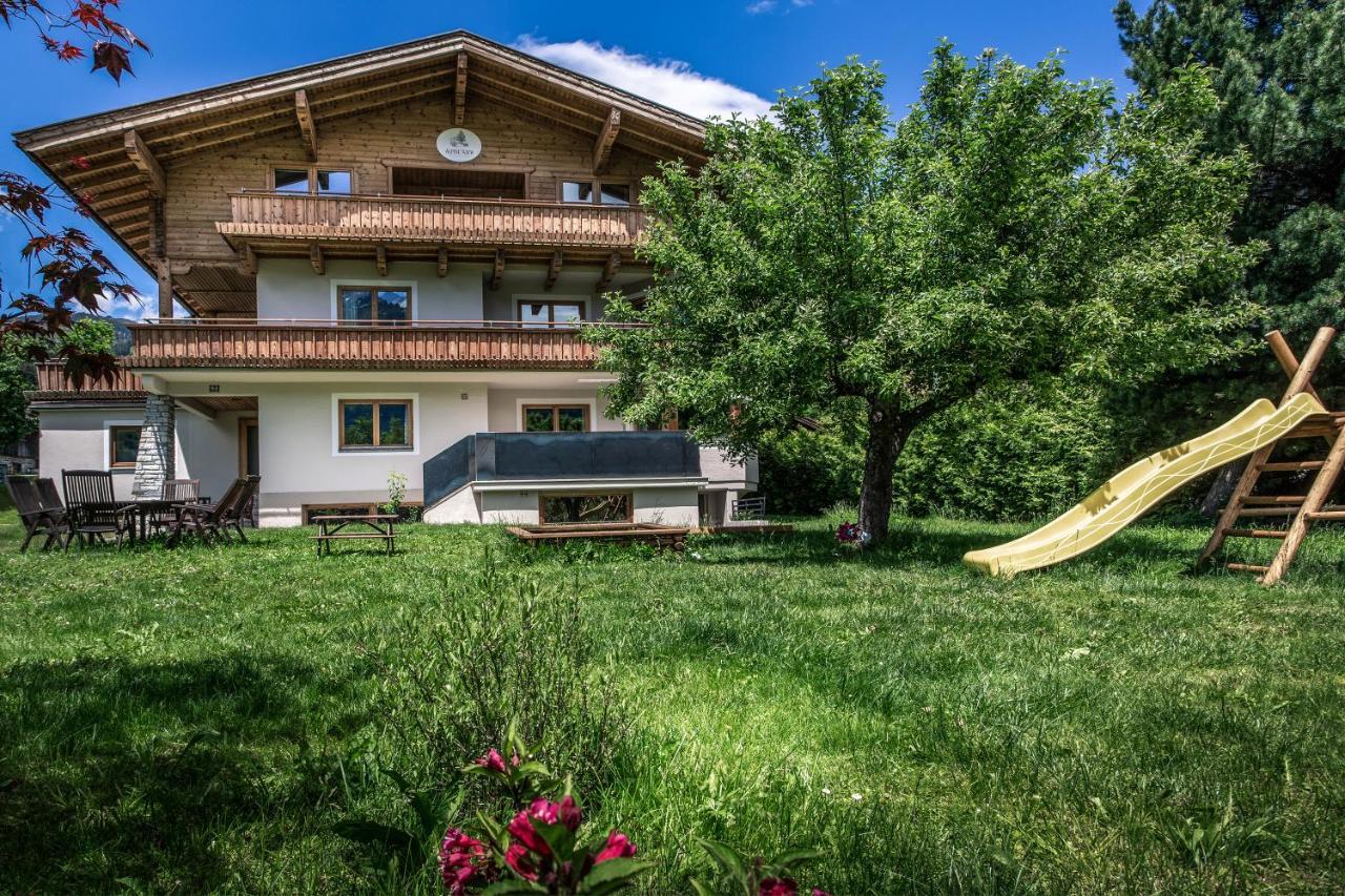 Alpine View Apartments Niedernsill Extérieur photo